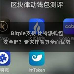 Bitpie支持 比特派钱包安全吗？专家详解其全面优势