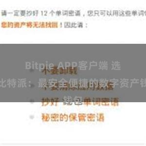 Bitpie APP客户端 选择比特派：最安全便捷的数字资产钱包