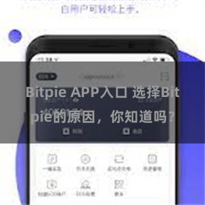 Bitpie APP入口 选择Bitpie的原因，你知道吗？