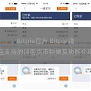 Bitpie官方 Bitpie钱包支持的加密货币种类及功能介绍