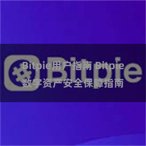 Bitpie用户指南 Bitpie数字资产安全保障指南