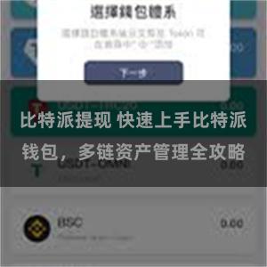 比特派提现 快速上手比特派钱包，多链资产管理全攻略