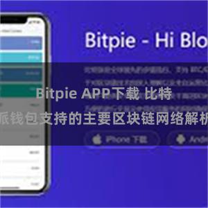 Bitpie APP下载 比特派钱包支持的主要区块链网络解析