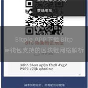 Bitpie APP下载 Bitpie钱包支持的区块链网络解析