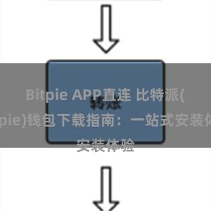 Bitpie APP直连 比特派(Bitpie)钱包下载指南：一站式安装体验