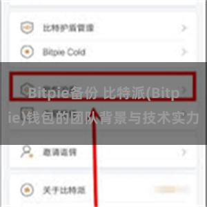 Bitpie备份 比特派(Bitpie)钱包的团队背景与技术实力