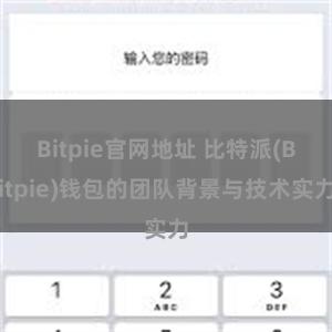 Bitpie官网地址 比特派(Bitpie)钱包的团队背景与技术实力