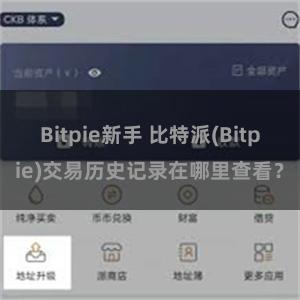 Bitpie新手 比特派(Bitpie)交易历史记录在哪里查看？