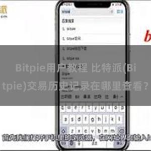 Bitpie用户教程 比特派(Bitpie)交易历史记录在哪里查看？