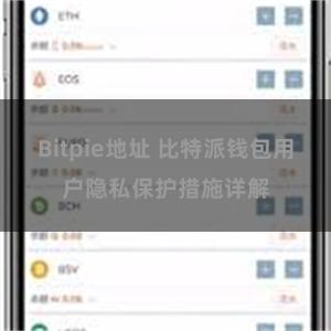 Bitpie地址 比特派钱包用户隐私保护措施详解