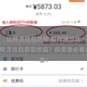 比特派钱包功能 如何通过比特派钱包获取收益？投资者必看！