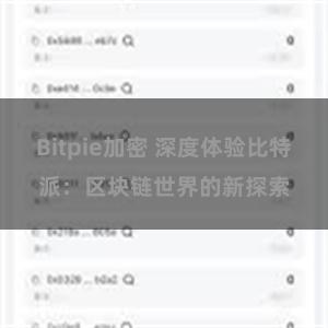 Bitpie加密 深度体验比特派：区块链世界的新探索