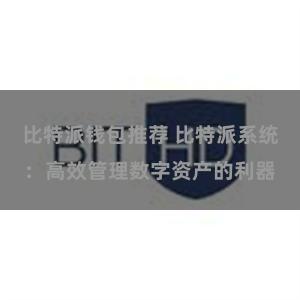比特派钱包推荐 比特派系统：高效管理数字资产的利器