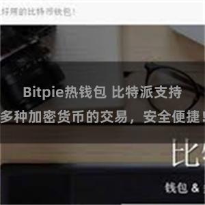Bitpie热钱包 比特派支持多种加密货币的交易，安全便捷！