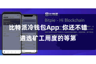 比特派冷钱包App  你还不错遴选矿工用度的等第