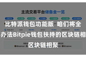 比特派钱包功能版  咱们将全面办法Bitpie钱包扶持的区块链相聚