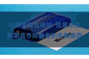 比特派钱包地址  恰是众巨额字货币防备者的共同遴荐