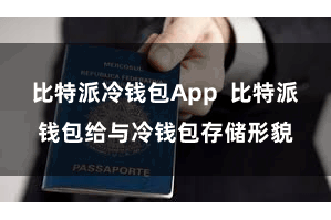 比特派冷钱包App  比特派钱包给与冷钱包存储形貌