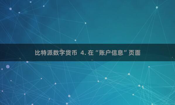 比特派数字货币  4. 在“账户信息”页面