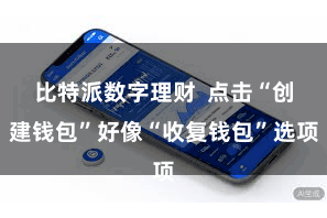 比特派数字理财  点击“创建钱包”好像“收复钱包”选项